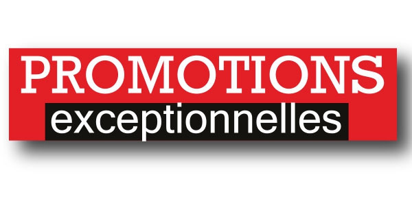 Affiche "PROMOTIONS EXCEPTIONNELLES" L115 H30 cm