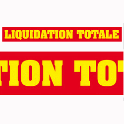 Carton  "LIQUIDATION TOTALE" L115 H13 cm