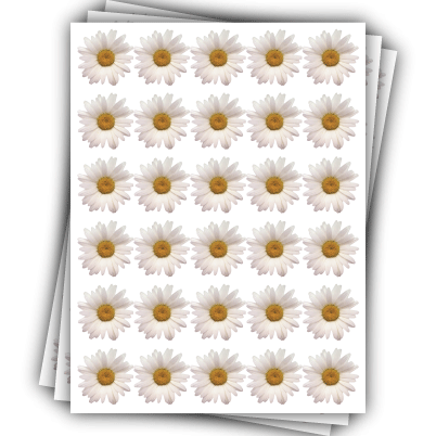 10 planches de stickers "Marguerite"